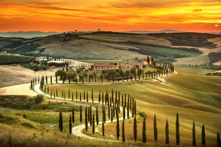 chianti classico