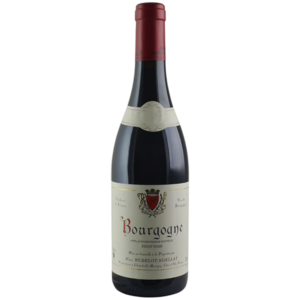 Bourgogne Pinot Noir - Domaine Hudelot Noëllat 2021