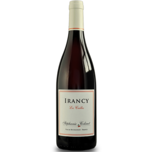 Bourgogne Irancy Cote du Moutier -Domaine Colinot 2022