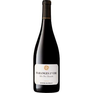 Maranges 1er Cru Les Clos Roussots - Domaine Aurore Bachelet 2019